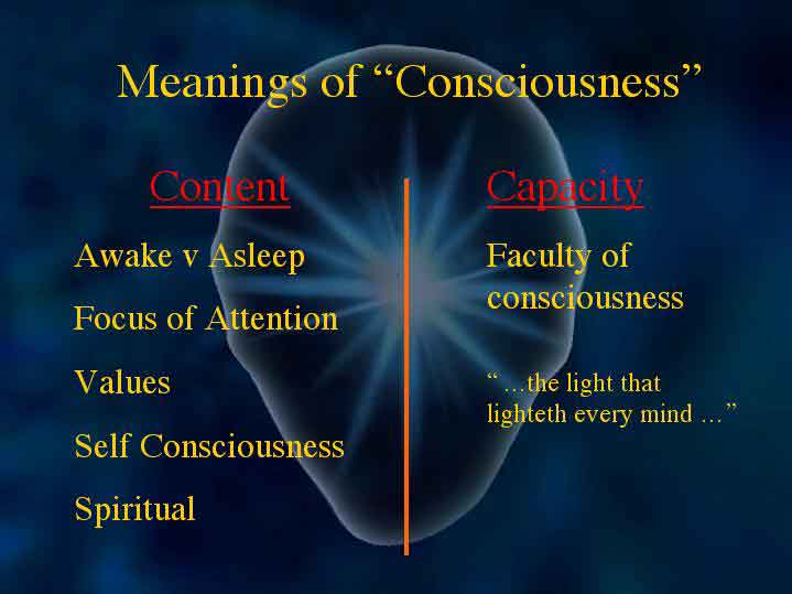 meanings-of-consciousness