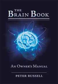 love on brain book